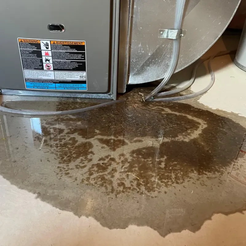 Appliance Leak Cleanup in Benton, TN